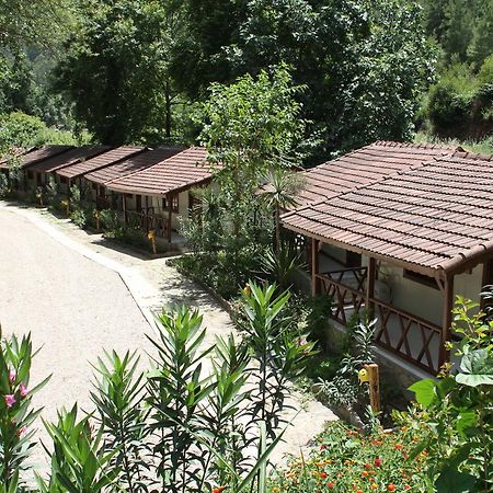 Beskonak Eco Family Park酒店 外观 照片