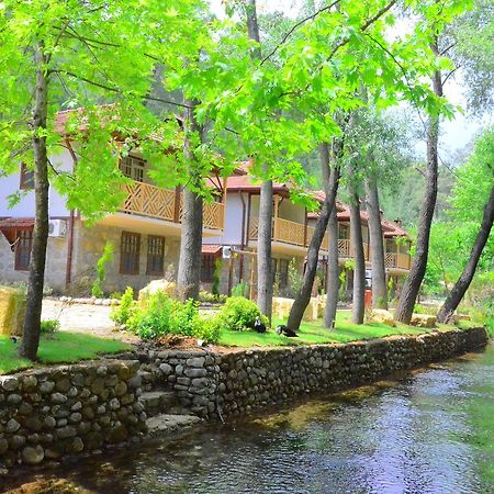 Beskonak Eco Family Park酒店 外观 照片
