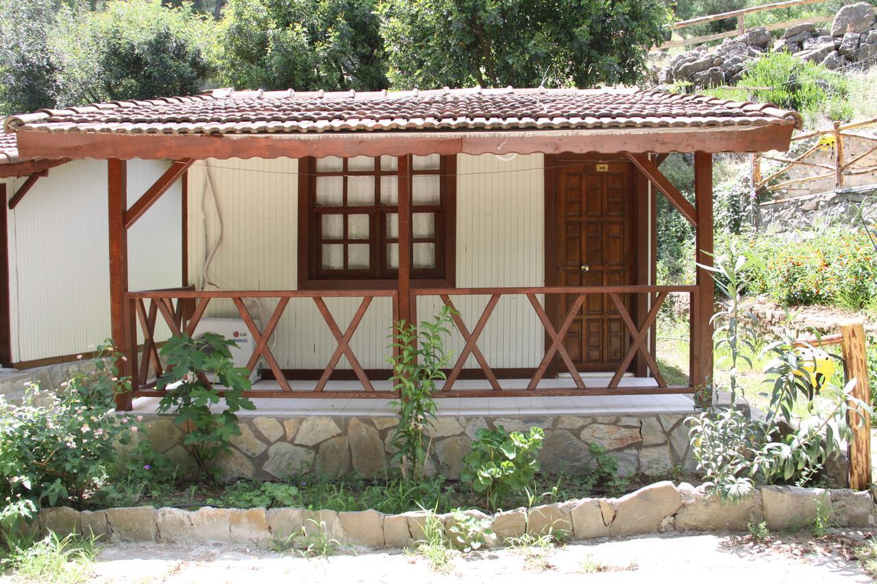 Beskonak Eco Family Park酒店 客房 照片