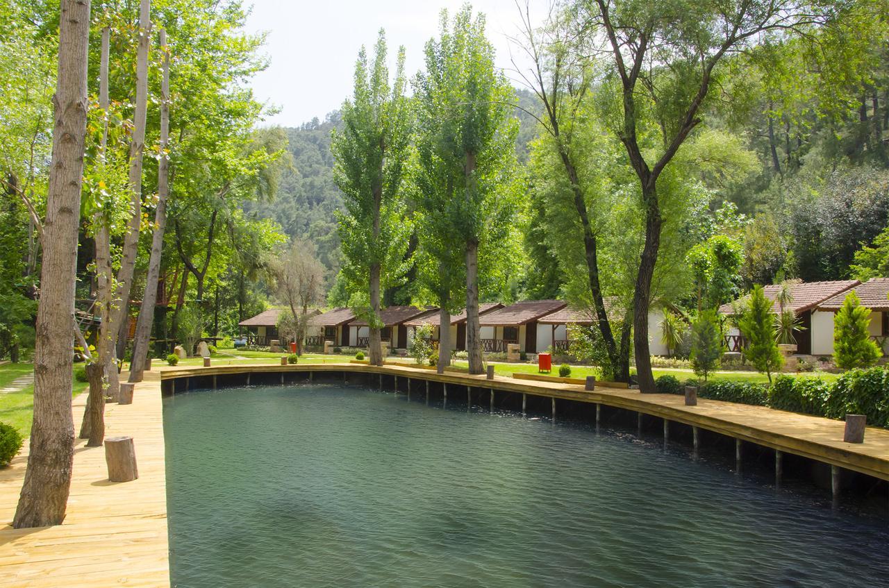 Beskonak Eco Family Park酒店 外观 照片
