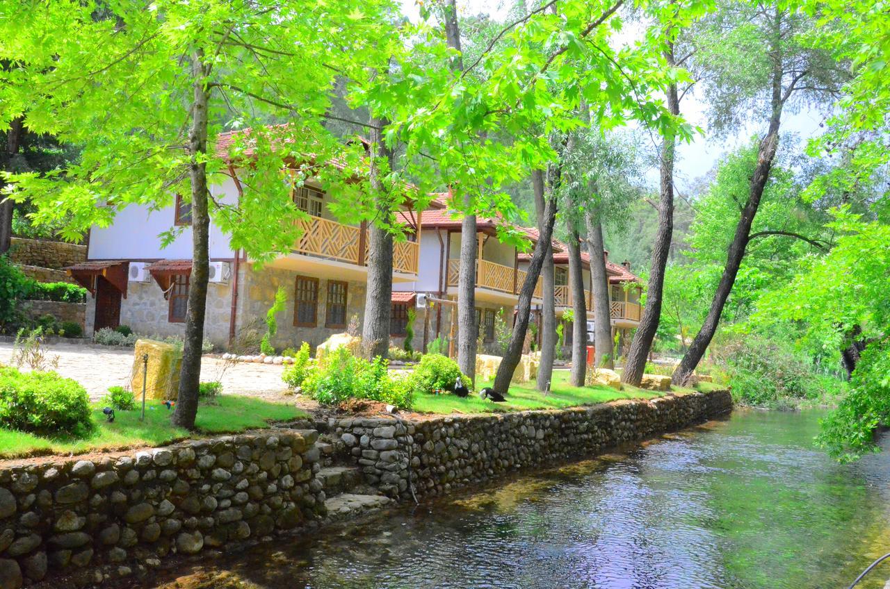Beskonak Eco Family Park酒店 外观 照片